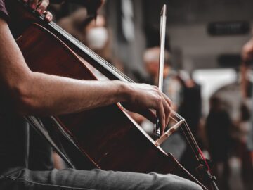 cello, musician, music, street artist, street musician, instrument, cello, cello, cello, cello, cello, musician, music